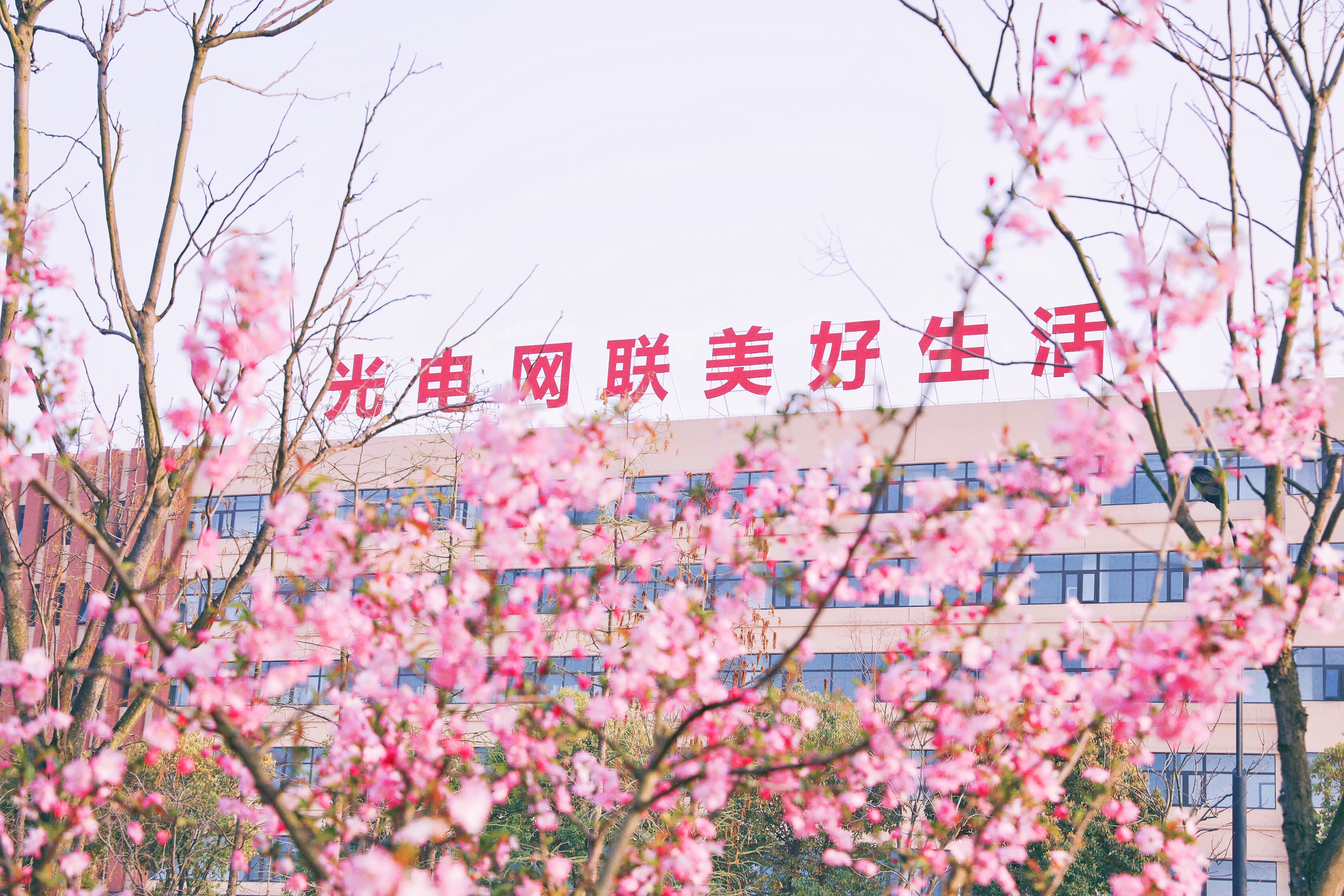 u球体育直播 - 全球赛事·极速直击